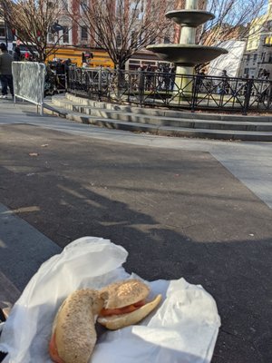 Bagels On the Square by null