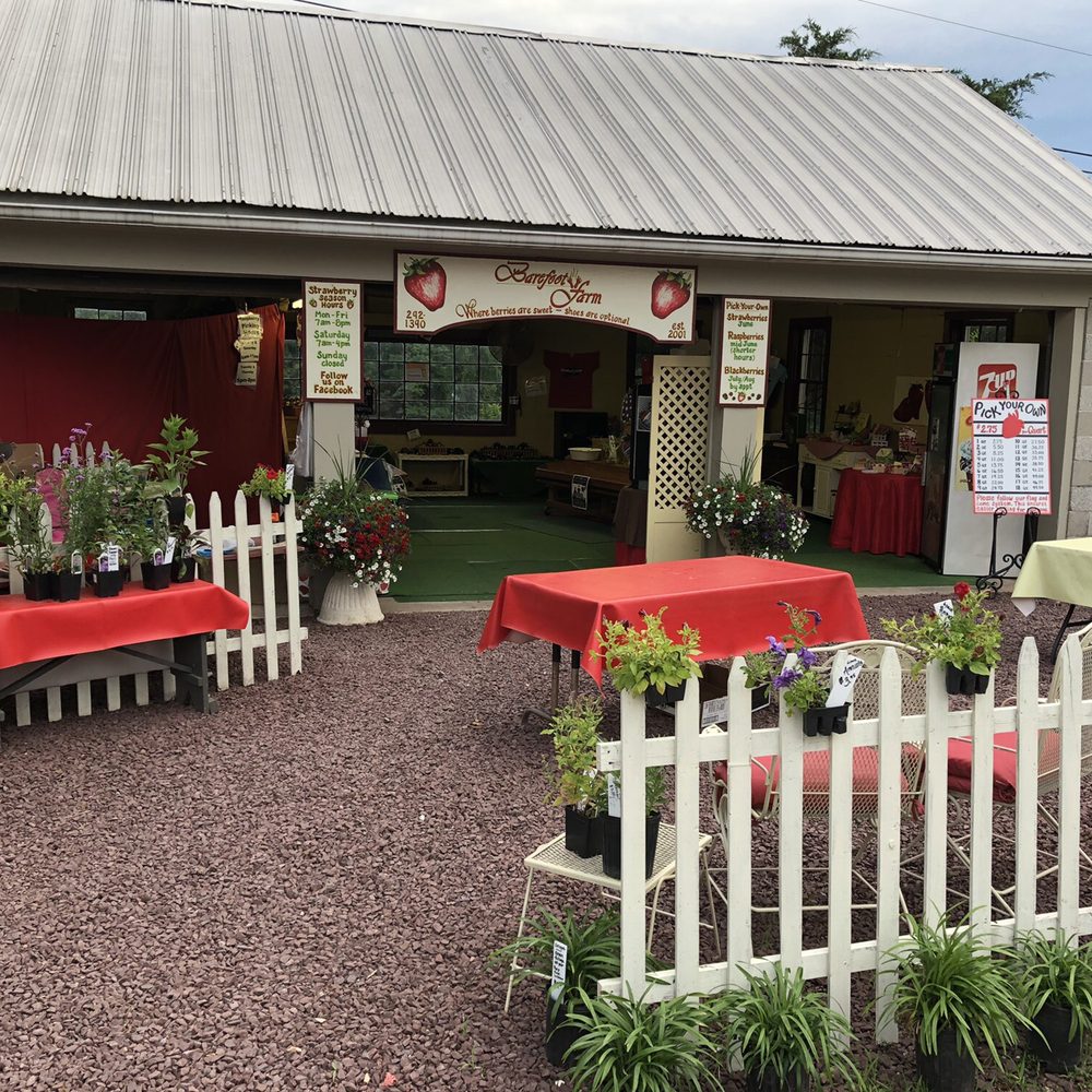 Barefoot Farm - Pick Your Own Farms Near Me - Dover, Pennsylvania