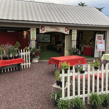 Barefoot Farm - Pick Your Own Farms Near Me - Dover, Pennsylvania
