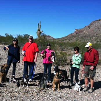 Sit Means Sit - Sit Means Sit students after our annual group hike. - Pet Training Near Me