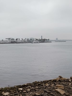 Harry Bridges Memorial Park by null