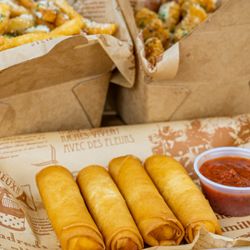 Yas Chicken - Wonton Mozzarella sticks