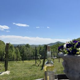 Brent Manor Alvarinho, southerly vistas, beautiful winery Brent Manor Alvarinho, southerly vistas, beautiful winery