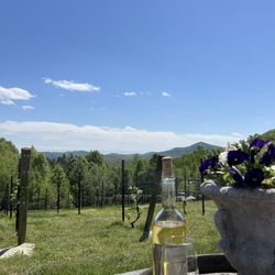 Brent Manor Vineyards - Brent Manor Alvarinho, southerly vistas, beautiful winery