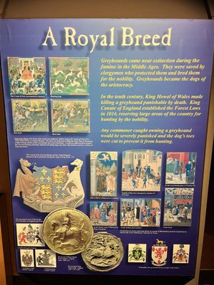 Greyhound Hall of Fame by null