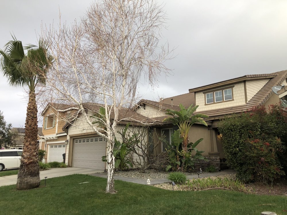 TOM DAY TREE SERVICE 20 Photos & 39 Reviews 275 Sierra Pl, Upland