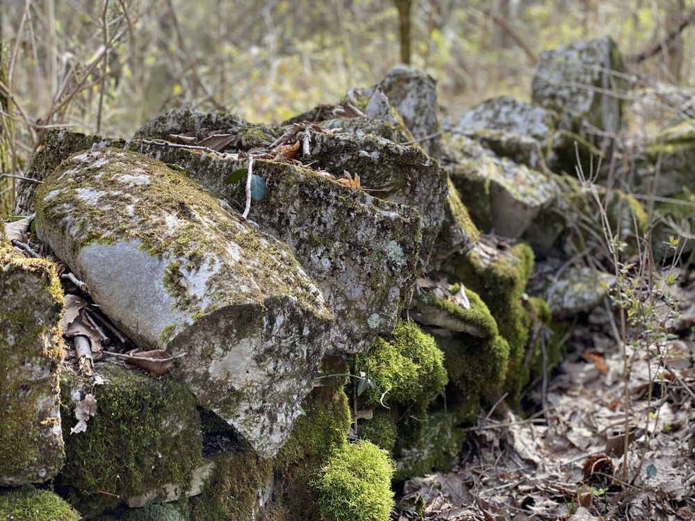 Social spots from Jim Beam Nature Preserve