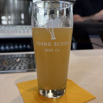 Young Blood Beer - Smooth Like a Dolphin-Hazy Ale - Breweries Near Me - DeForest, Wisconsin Young Blood Beer - Smooth Like a Dolphin-Hazy Ale - Breweries Near Me - DeForest, Wisconsin