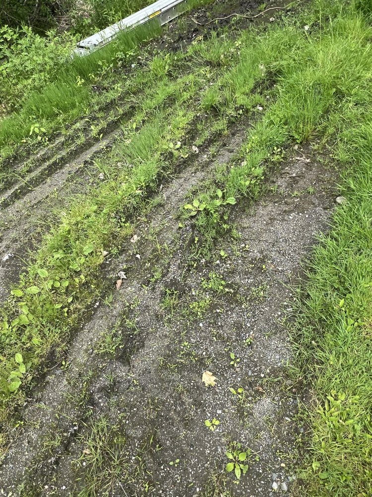 Slide of Bantam Wesson Energy