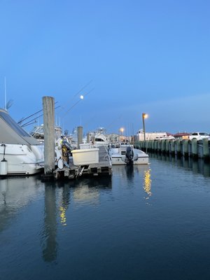 H&H Seafood Market by null