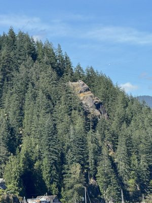 Deep Cove Kayak Centre by null