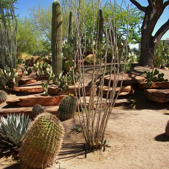 Ethel M Chocolates - Cactus Landscaping - Botanical Gardens Near Me - Henderson, Nevada