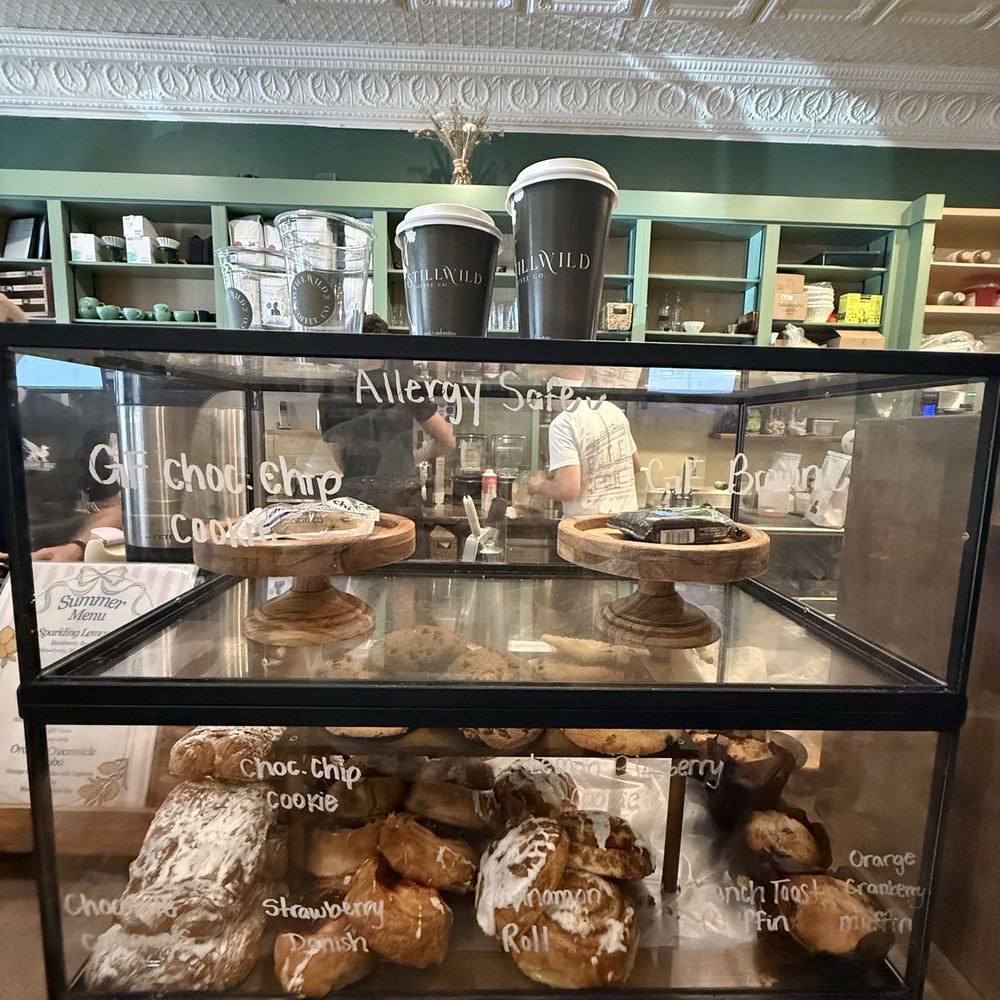 StillWild Coffee - Display case - Coffee & Tea Near Me - Summerville, South Carolina StillWild Coffee - Display case - Coffee & Tea Near Me - Summerville, South Carolina