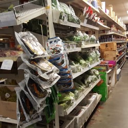 Asia Supermarket