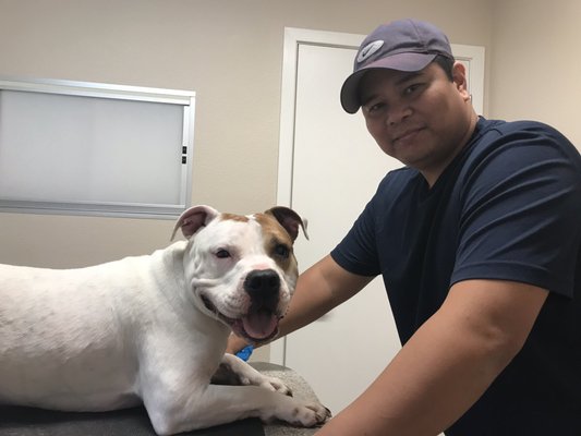 vca animal hospital bradshaw