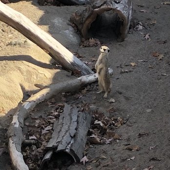 Potter Park Zoo - Zoos Near Me - Lansing, Michigan Potter Park Zoo - Zoos Near Me - Lansing, Michigan