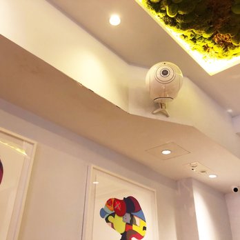 Elephant Grounds - Cafes Near Me - Hong Kong, HK Elephant Grounds - Cafes Near Me - Hong Kong, HK