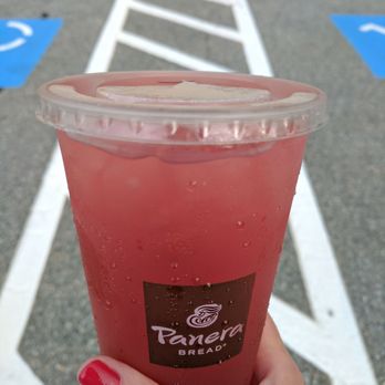 Panera Bread - Green tea hibiscus - Sandwiches Near Me - Franklin, Massachusetts