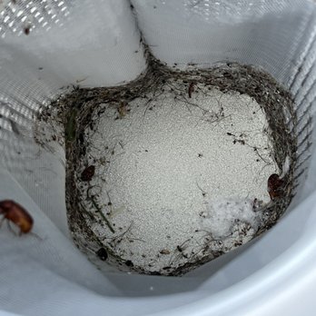 Symbri - Symbri considers this to be clean filters after they leave your residence.  Terrible service. - Pool Cleaners Near Me
