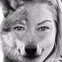 Robin's K9 Lifestyle  - In order to understand your dog .  You have to think like one.