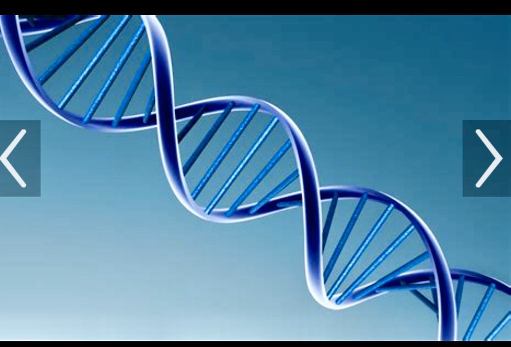 Slide of DNA Plumbing Contractors