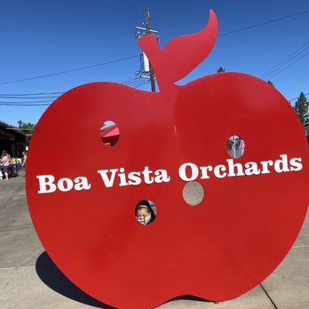 Boa Vista Orchards - Photo op! - Fruits & Veggies Near Me - Placerville, California
