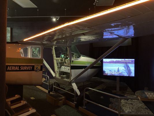 Alligator River National Wildlife Refuge by null