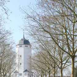 die Blume am Wasserturm