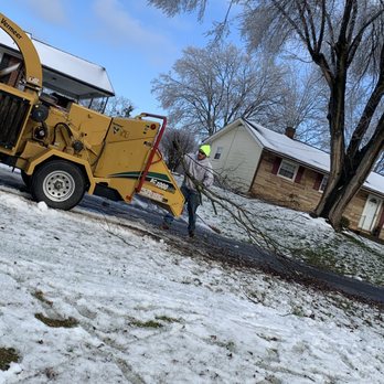 Bryce Tree Service - Tree Services Near Me