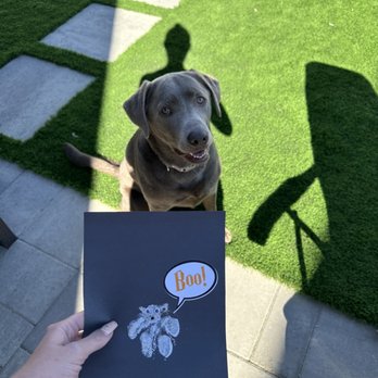 Barx Parx - Pet Training Near Me - Las Vegas, Nevada