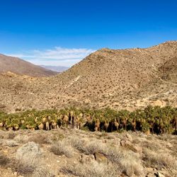 Indian Canyons - Above Palm Canyon