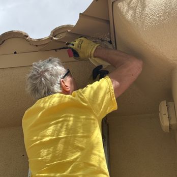 Dan the Honeyman - Pest Control Near Me