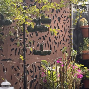 Tacos Don Chai - Breakfast & Brunch Near Me - Martinez, California Tacos Don Chai - Breakfast & Brunch Near Me - Martinez, California