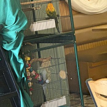Manny Vibez - Parrot. - Breakfast & Brunch Near Me - Norwood, Pennsylvania