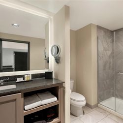 Embassy Suites by Hilton Charlotte Ayrsley - Guest room bath