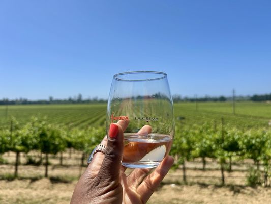 La Crema Estate at Saralee's Vineyard by null