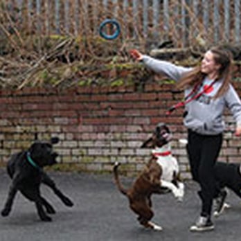 The Canine Centre - Pet Services Near Me - Manchester, XGM