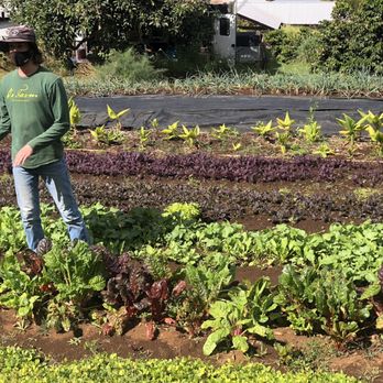 O'o Farms - Food Tours Near Me - Kula, Hawaii O'o Farms - Food Tours Near Me - Kula, Hawaii