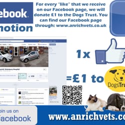 vets4pets middlebrook