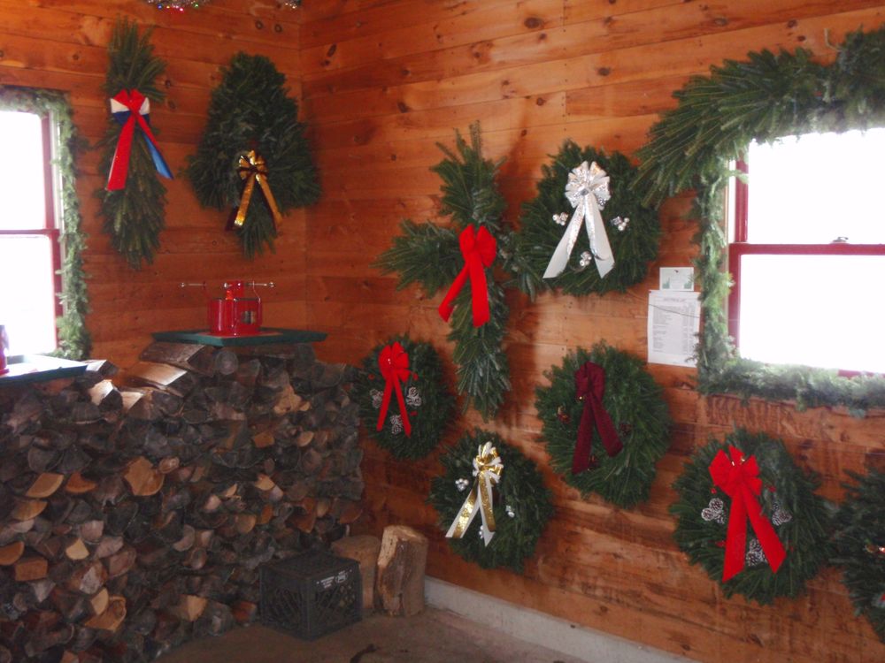 ASACK & SON CHRISTMAS TREE FARM AND NURSERY - Updated May 2026 - 1013 ...