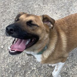 pictured: pure joy pictured: pure joy