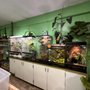 Photo of The Chlorophyll Corner