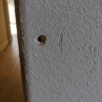 Top Floors - a hole in the wall of a house - Flooring Near Me - Virginia Beach, Virginia Top Floors - a hole in the wall of a house - Flooring Near Me - Virginia Beach, Virginia