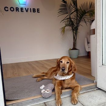 Corevibe Studio - Pilates Near Me - Sunnyvale, California Corevibe Studio - Pilates Near Me - Sunnyvale, California