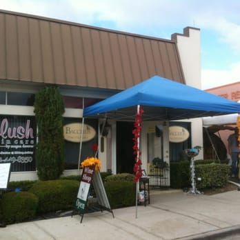 Bacchus Vino Etc - Bacchus Vino Etc - Beer, Wine & Spirits Near Me - Clermont, Florida Bacchus Vino Etc - Bacchus Vino Etc - Beer, Wine & Spirits Near Me - Clermont, Florida