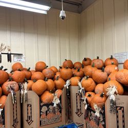 Freshfield Farm - Pumpkins for under $12.00