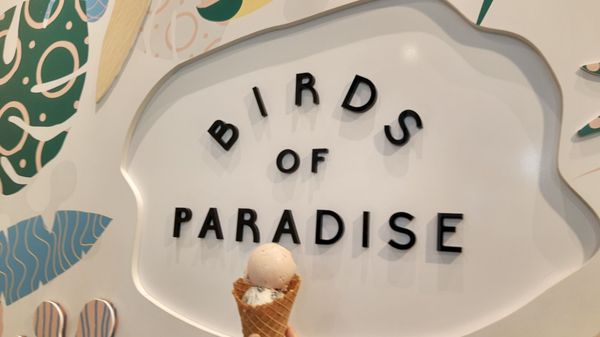 Birds of Paradise Gelato Boutique – Katong (East Coast) by null