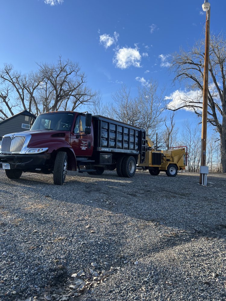 All Tree Works - tree service in Billings, MT