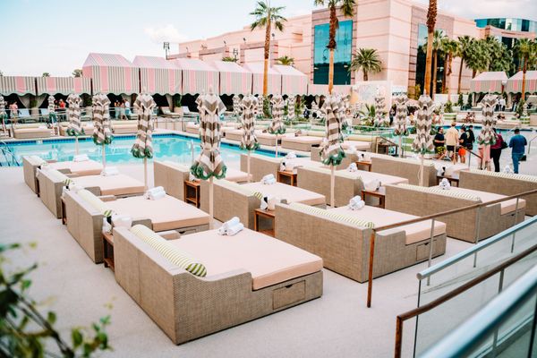Palm Tree Beach Club by null