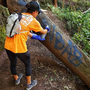 808 Cleanups - Community Service/Non-Profit Near Me 808 Cleanups - Community Service/Non-Profit Near Me